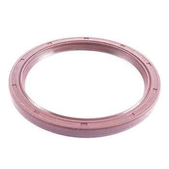 RETEN TRASERO CIGUEÑAL - Imagen 1